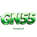 GN55 Game