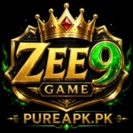 ZEE9 Game