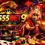 8555BET9 earn real money